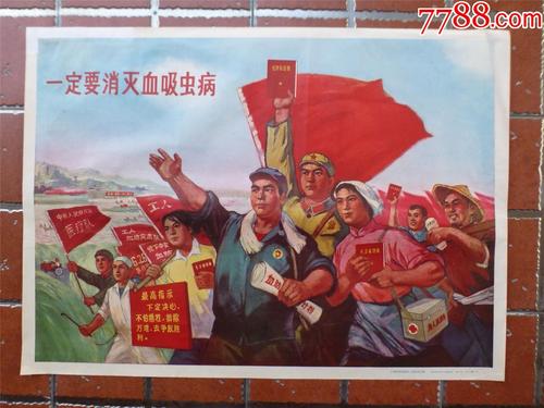哪里可以制作瑞典驾照